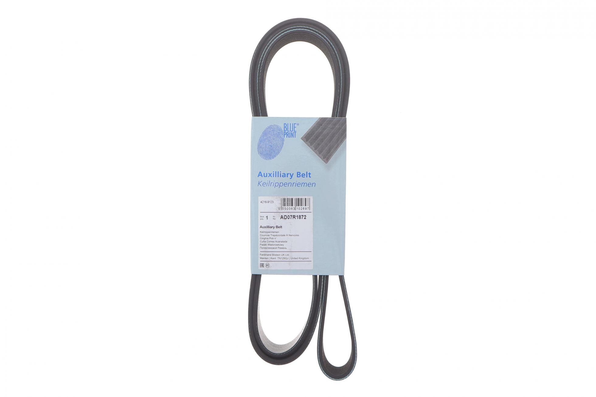 AD07R1872 BLUE PRINT